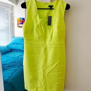 Anne Taylor dress